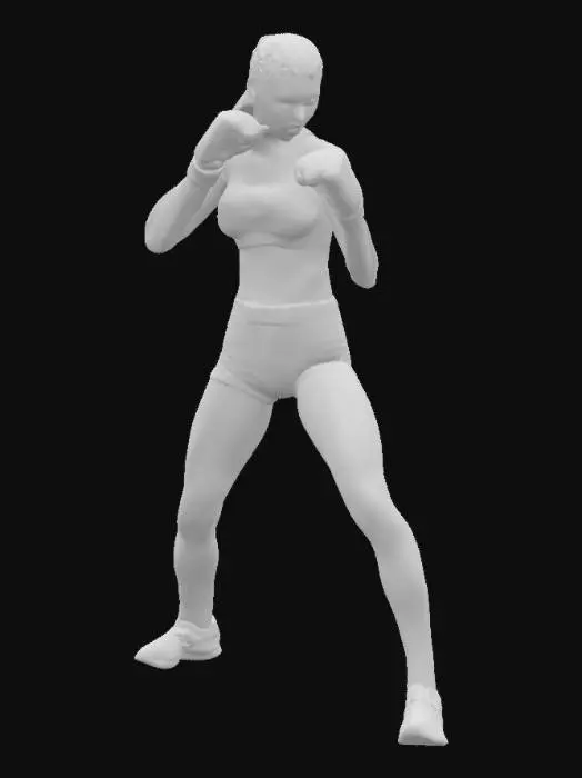 3D model for highly detailed skinny sporty woman fighter in trunks and bra. 
Braided hair, gloves.
