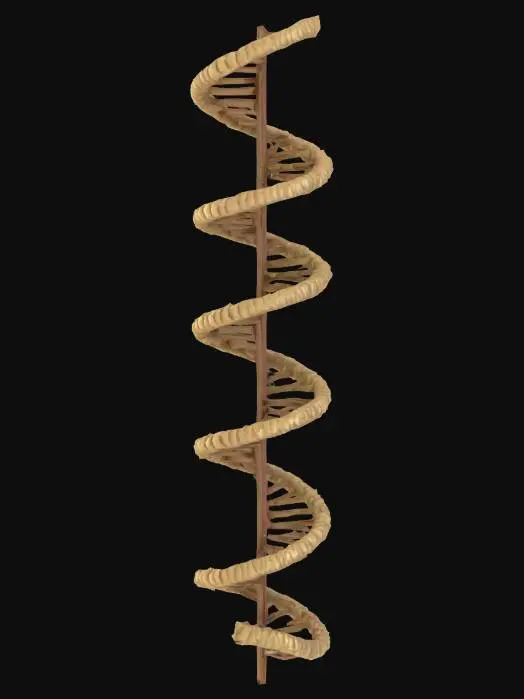 3D model for DNA spiral arch, #arch#, Sci-Fi, Highly Detailed, Organic