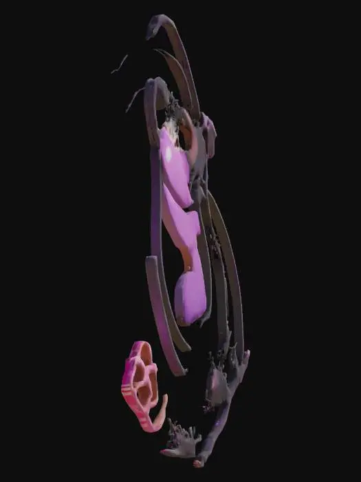 3D model for Chimp Pokemon Trainer