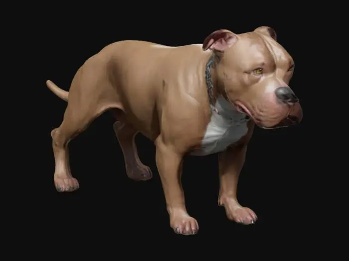 3D model for A highly detailed, high poly, high resolution 3d model of a Pitbull dog
