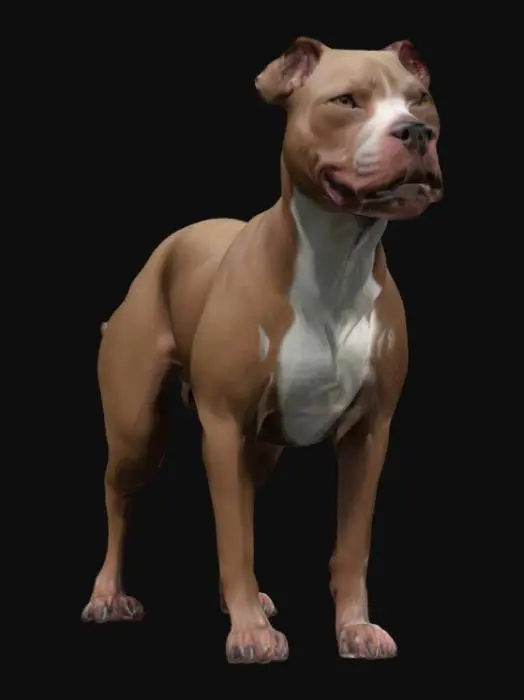 3D model for A highly detailed, high poly, ultra realistic, high resolution 3d model of a Pitbull dog, accurate proportions and anatomy