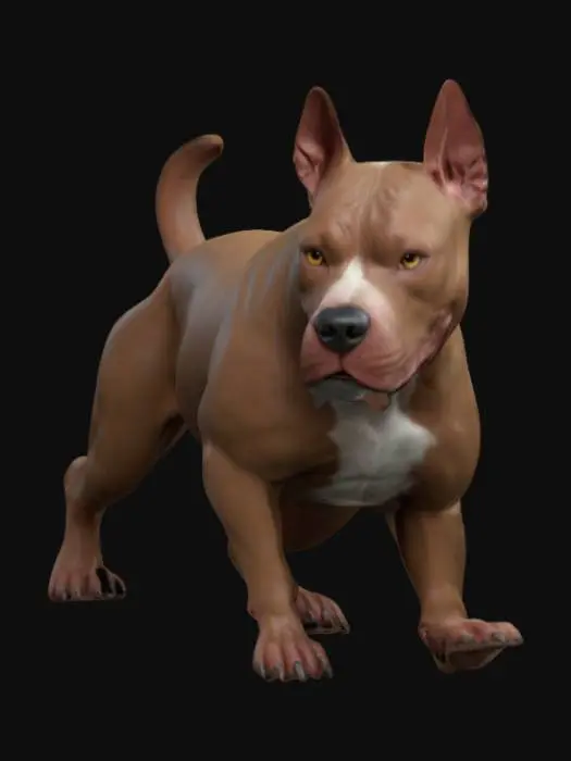 3D model for A highly detailed, high poly, high resolution 3d model of a Pitbull dog