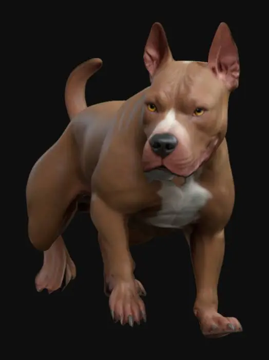 3D model for A highly detailed, high poly, high resolution 3d model of a Pitbull dog
