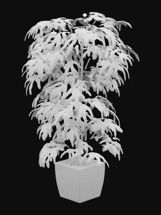 3D model for Tropical Elegance