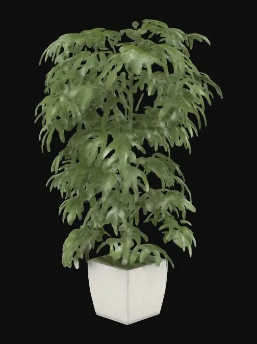 3D model for Tropical Elegance