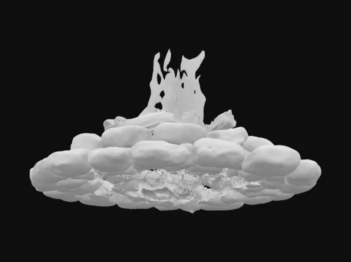 3D model for Campfire