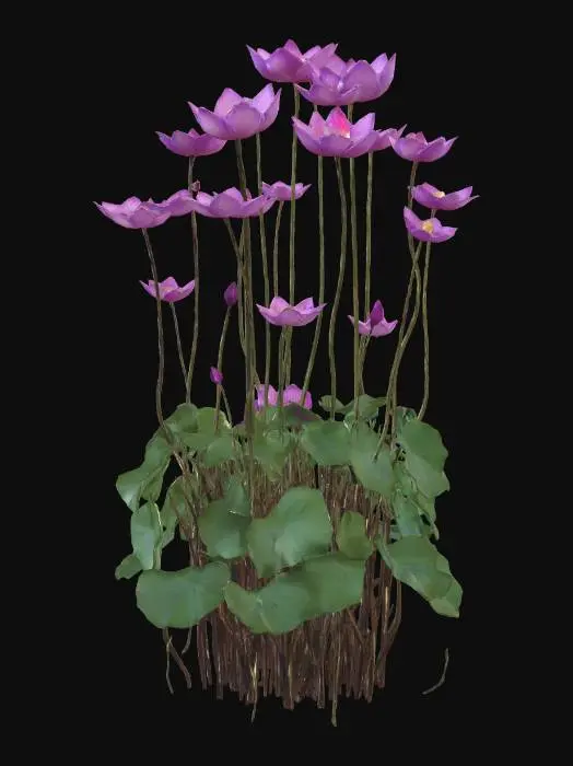 3D model for Pink Lotus Bloom in the Field