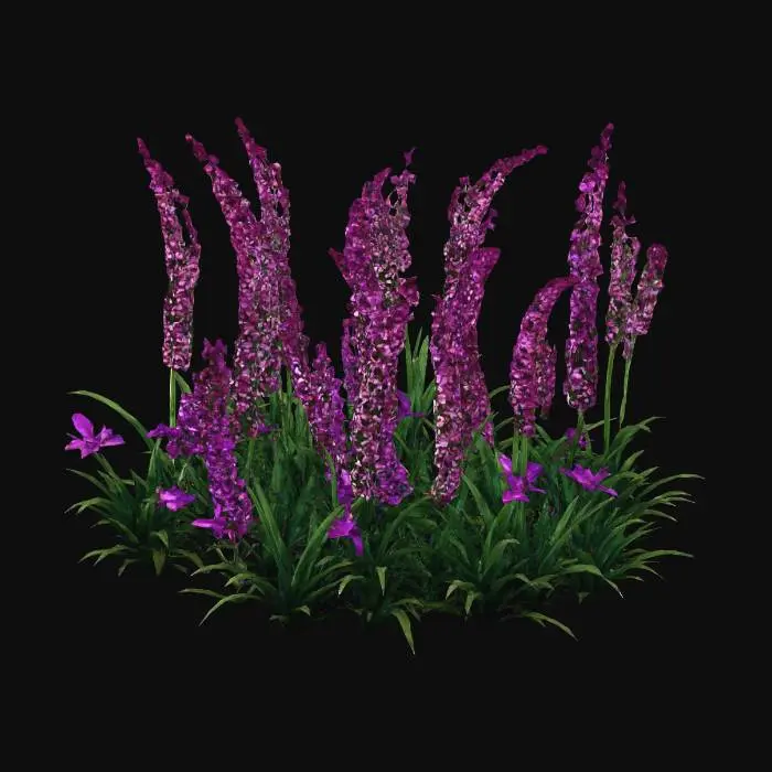 3D model for Nocturne in Purple