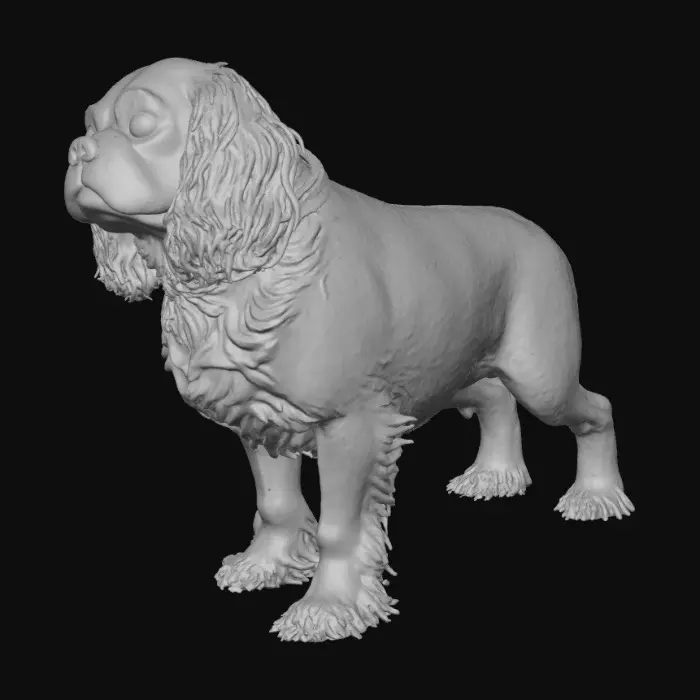 3D model for matey myles