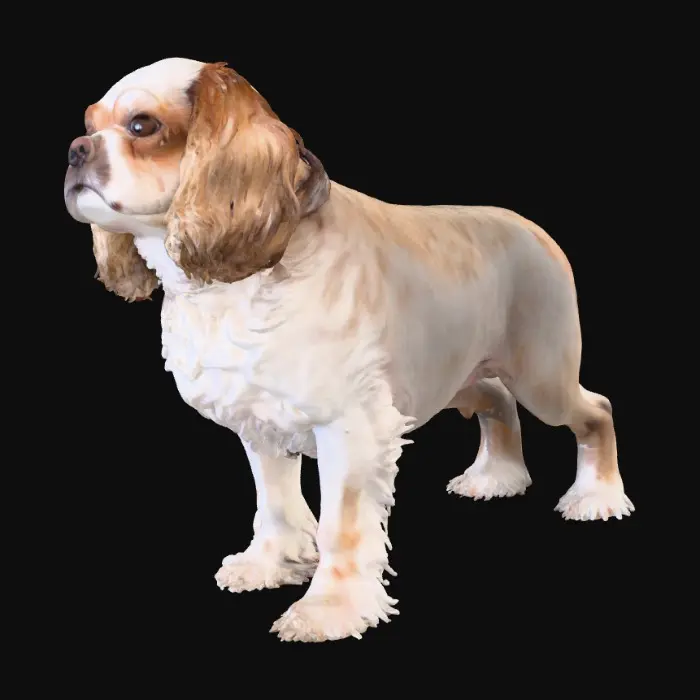 3D model for matey myles