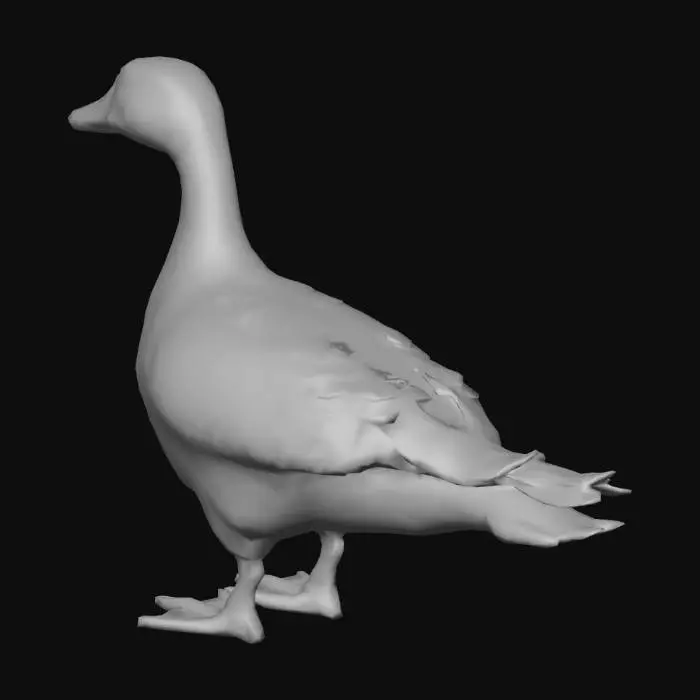 3D model for a goose
