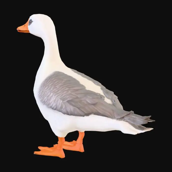 3D model for a goose