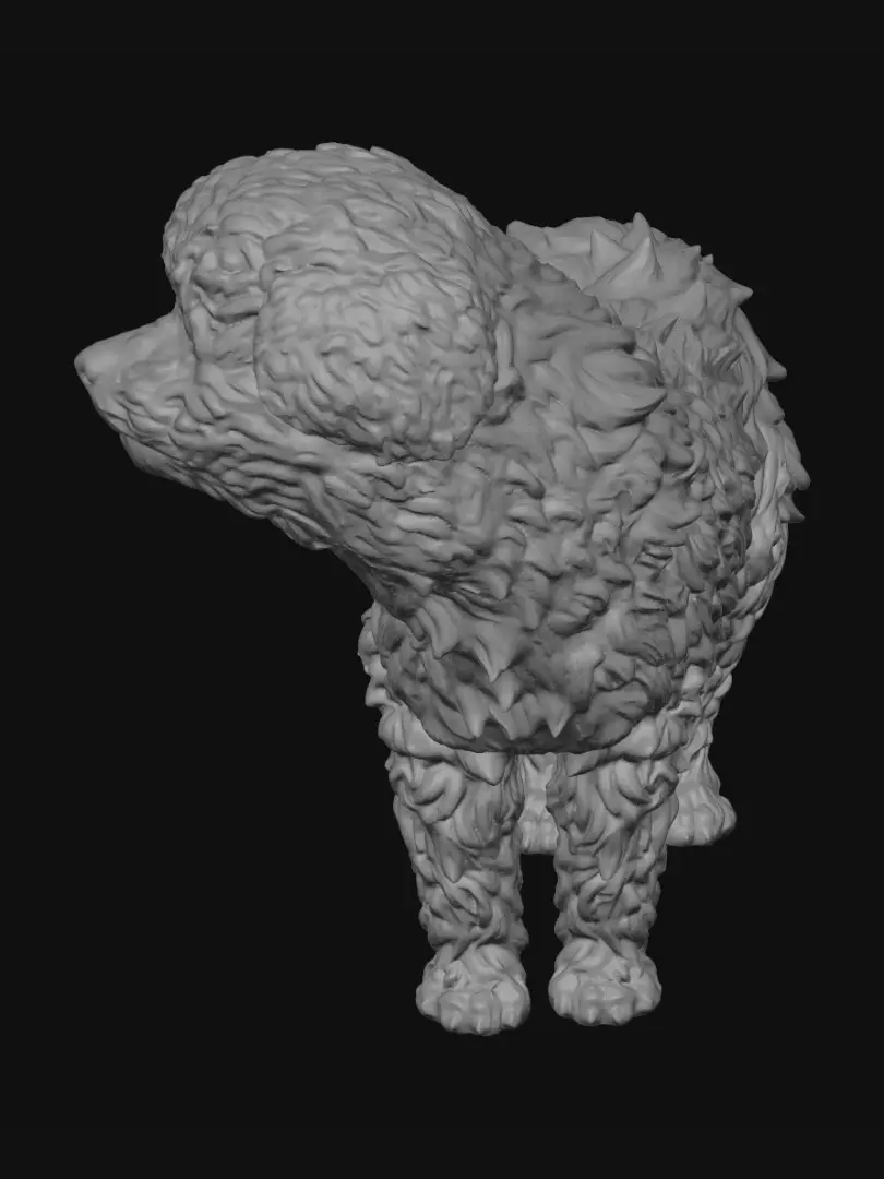 poodle