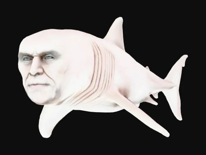 3D model for Sahrk Personification