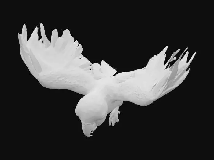 3D model for Parrot