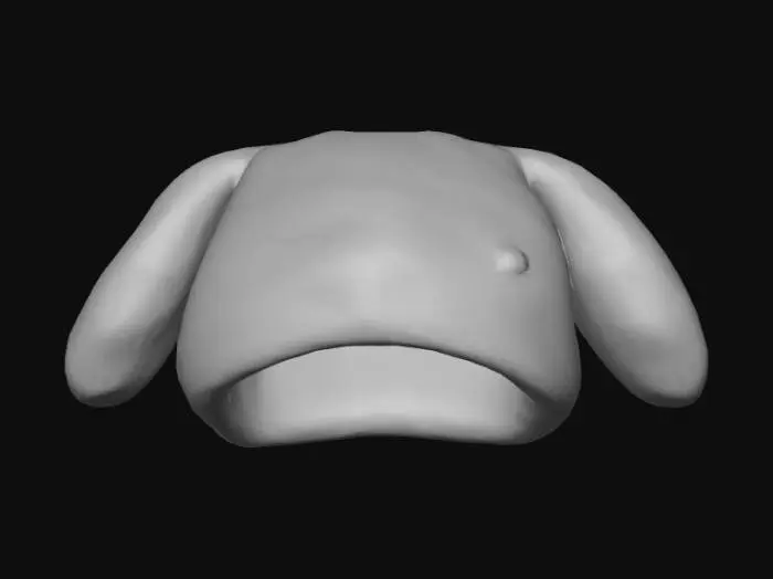 3D model for Fuzzy Bunny Hat