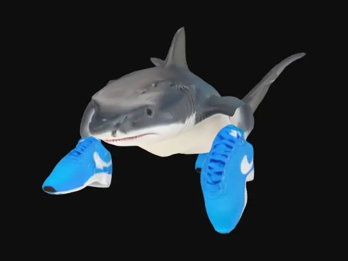 3D model for Shark Sneakers