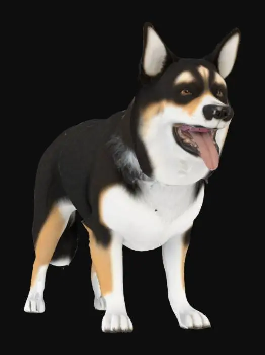 3D model for Loyal Corgi Mix
