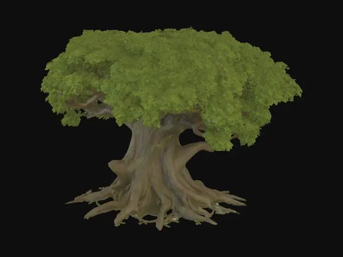 3D model for semi-realistic fantasy style, hand-painted PBR textures, slightly stylized proportions, warm earthy tones, game-ready asset, mid poly. Ancient oak tree, thick gnarled trunk with exposed roots, lush green canopy with golden leaf accents