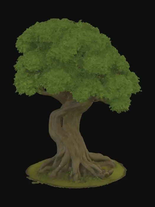 3D model for semi-realistic fantasy style, hand-painted PBR textures, slightly stylized proportions, warm earthy tones, game-ready asset, mid poly. Ancient oak tree, thick gnarled trunk with exposed roots, lush green canopy with golden leaf accents