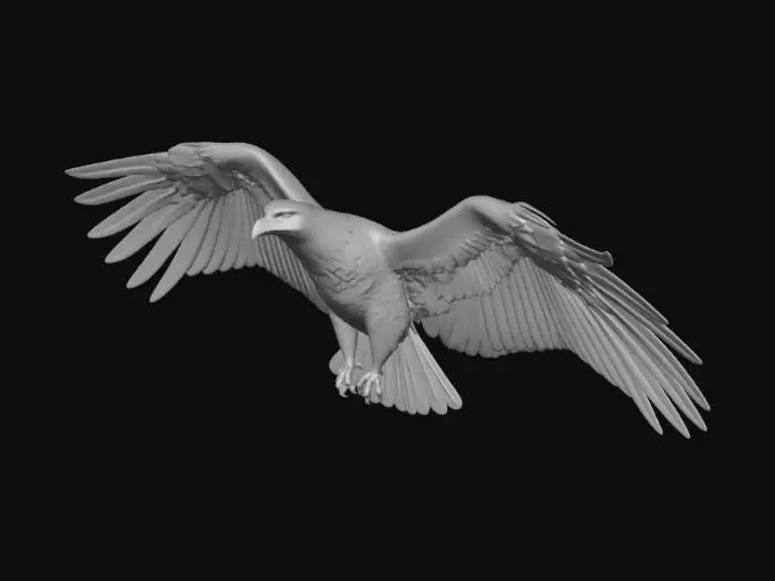 3D model for Create a 3D model of an eagle designed for real-time animation flying over a map.
The eagle should be in a natural flying pose with wings extended and suitable for continuous flight animation (flapping or gliding).
Style should be semi-realistic, not a flat logo — it must look like a real bird with simplified but believable anatomy (wings, feathers, body, head, beak).
Optimize the model for real-time rendering (low-poly to mid-poly, game-ready).
Include basic rigging for wing animation or provide a simple looping flight animation.
Use neutral natural colors (brown, white, gray).
Ensure the model is lightweight and suitable for WebGL (Cesium).
Export format: GLB.
Set correct pivot (center of mass) and orientation so it can move forward along a path and rotate correctly in flight.