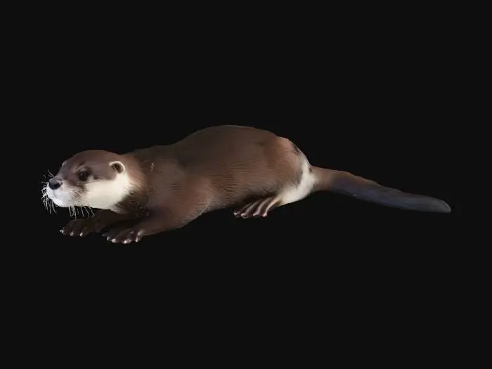 3D model for Otter Delight