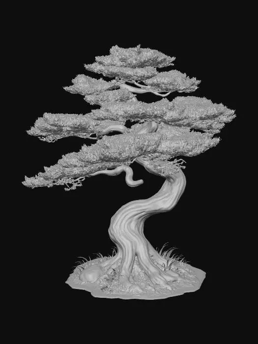 3D model for Matsu, pine tree
