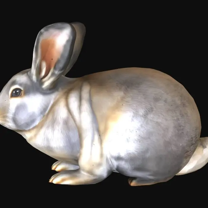 3D model for Un conejo de tamaño mediano, con una postura tranquila y recostada. Su pelaje denso y suave es de un color gris plateado uniforme, con reflejos que varían de claro a oscuro. Tiene orejas largas y erguidas con puntas negras, ojos marrones oscuros, y una cola pequeña y redonda de color blanco brillante, que contrasta con el cuerpo. Su forma es robusta y redondeada. su raza es un american chinchilla un tipo de conejo