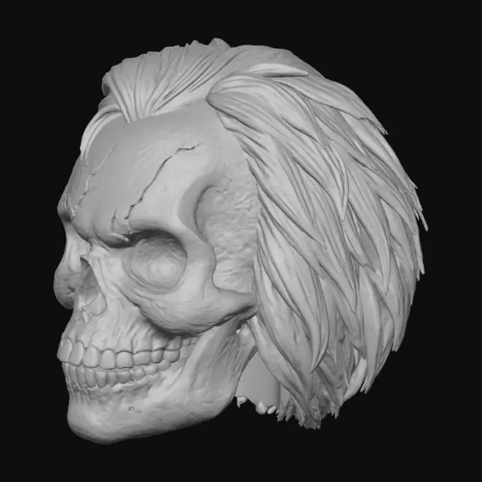 3D model for Skull Fury

Череп 3d модель 3x3x3 см