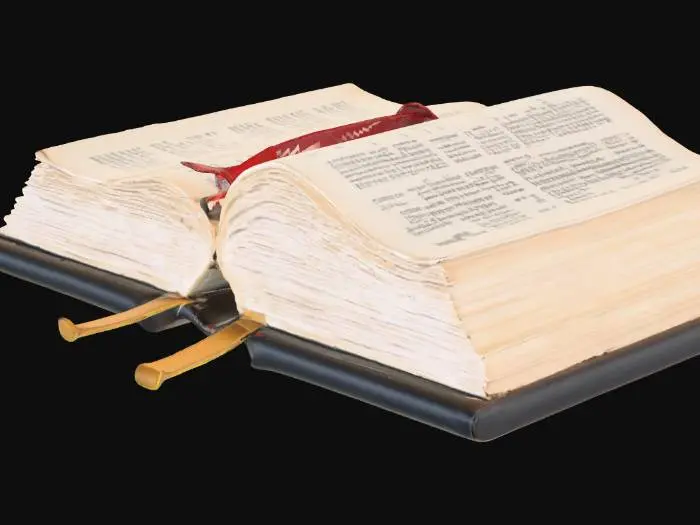 3D model for Opened Bible