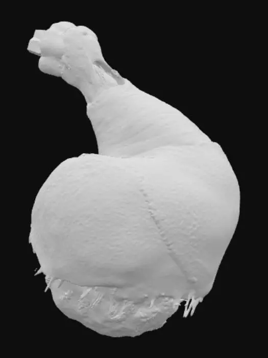 3D model for Ein saftiger kross gebratener und gebackener Hähnchenschenkel , #food#