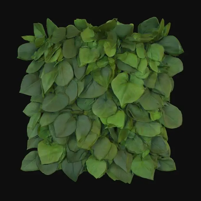 3D model for Segment 1×1 m, dunkelgrüne Blätter, matte Oberfläche, teilweise vertrocknet; platzierbar als Wandpatch.