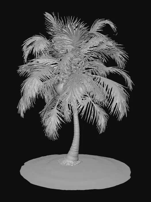 3D model for coconut-tree-island.jpg