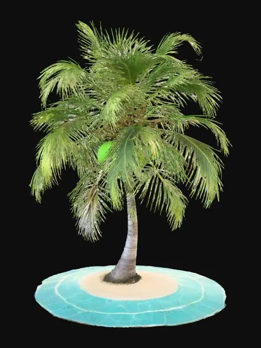 3D model for coconut-tree-island.jpg