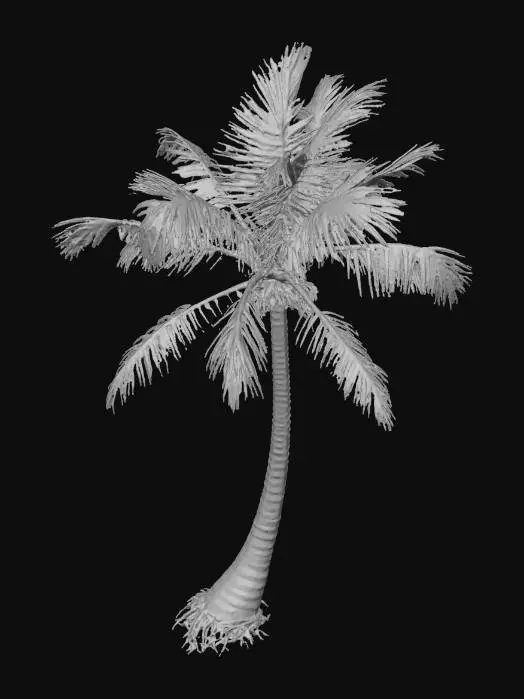 3D model for palm-tree-night-cut.jpg.png