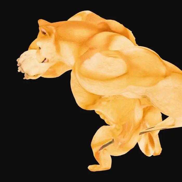 3D model for Buff Doge