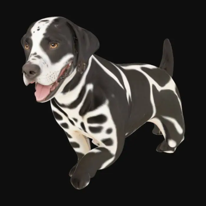 3D model for a black and white polka dot labrador. looks like a dalmatian but smiles like a labrador. 
