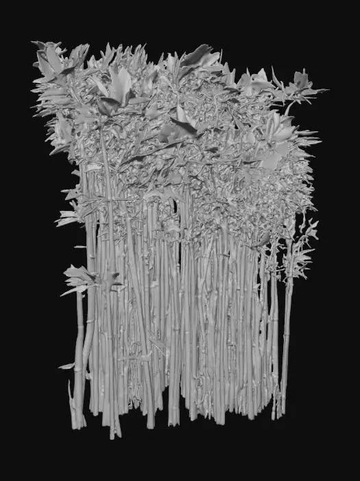 3D model for 1到3棵完整的写实的绿色毛竹，要带竹叶等细节，要从地里一直到顶上的一整颗，竹叶等细节要真实