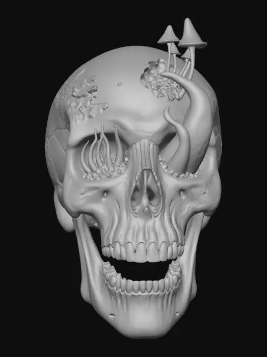 3D model for B.Eggleton Skull 2 mesh