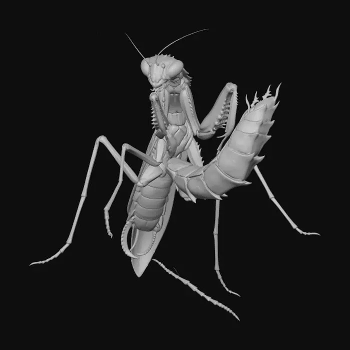 3D model for Green Mantis Majesty
