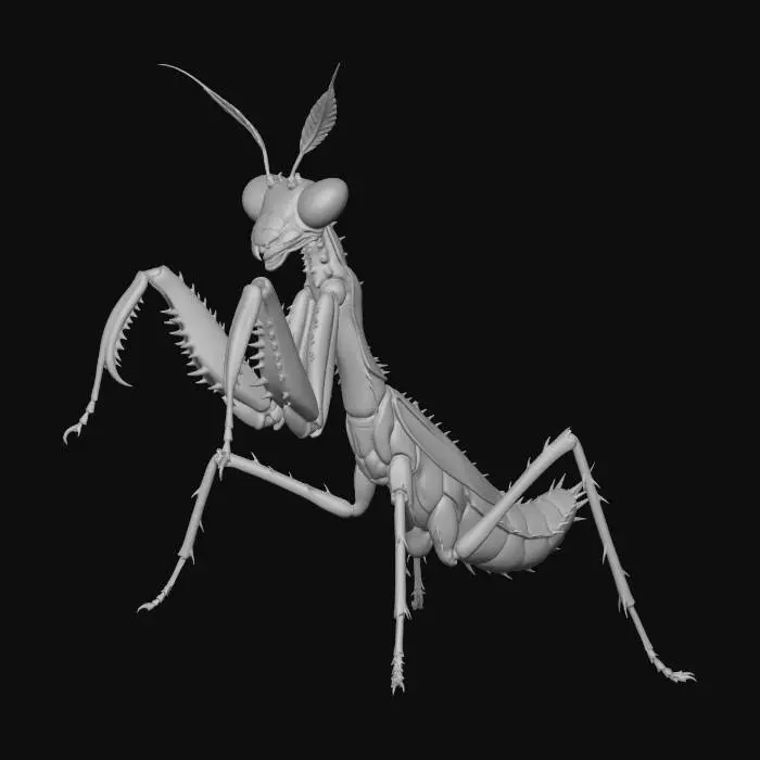 3D model for Mighty Mantis