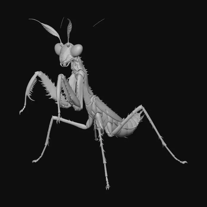 3D model for Mighty Mantis