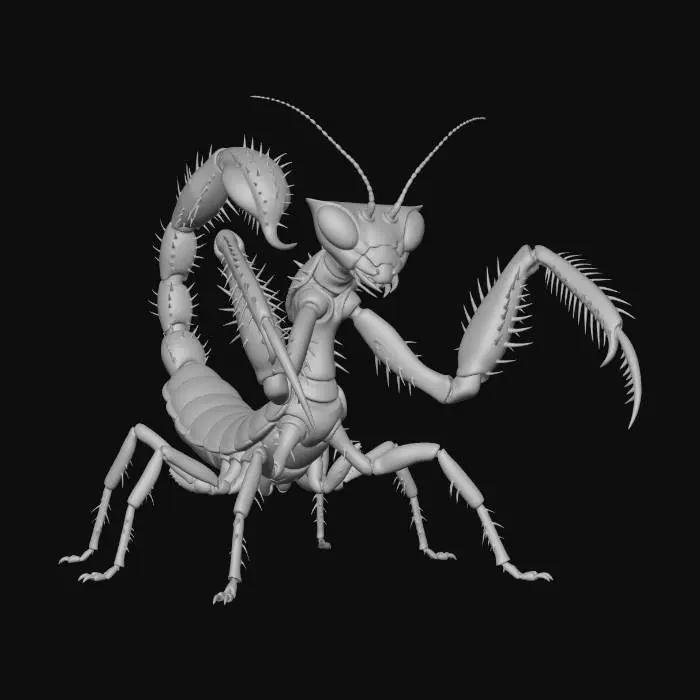 3D model for Arachnid Sentinel