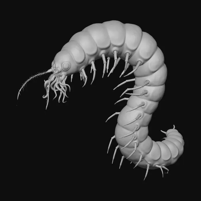 3D model for Cave Crawler