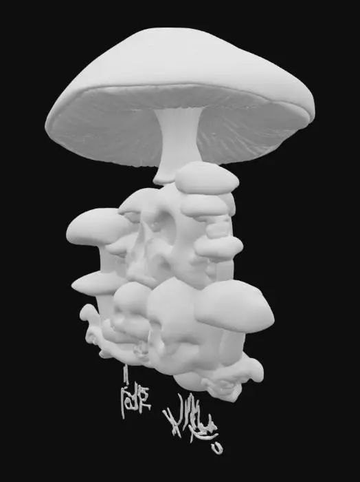 3D model for Psychedelic Skulls and Mushrooms