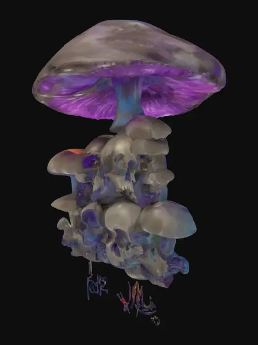 3D model for Psychedelic Skulls and Mushrooms