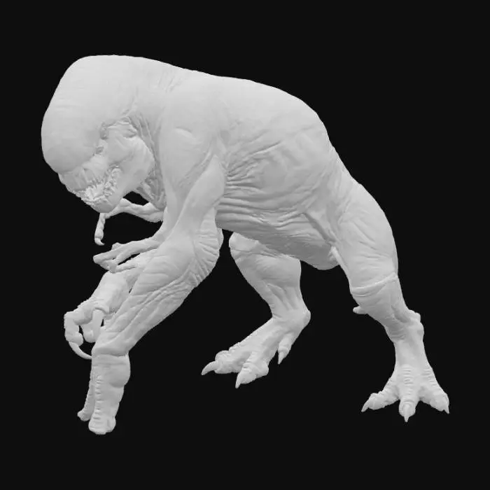 3D model for distortus rex