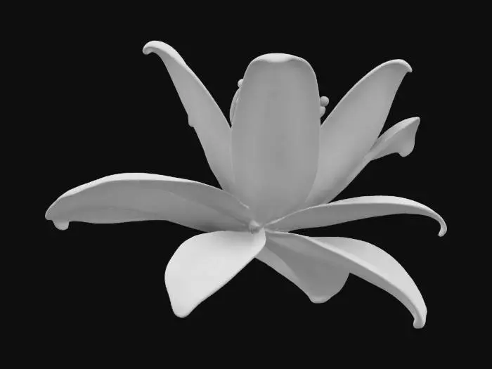 3D model for Lily flower