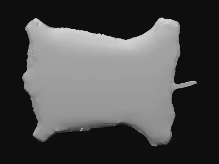 3D model for Animal pelt