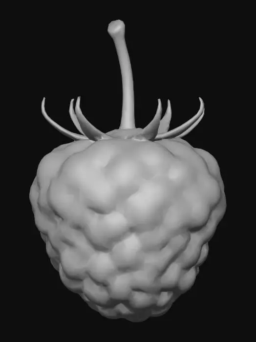 3D model for Raspberry
